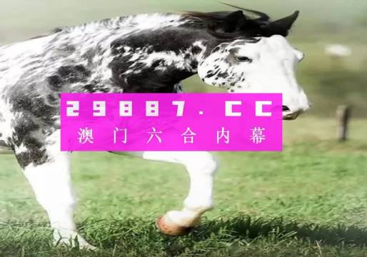 王中王三肖一碼資料，深度解析與SEO優(yōu)化，王中王三肖一碼資料深度解析與SEO優(yōu)化技巧