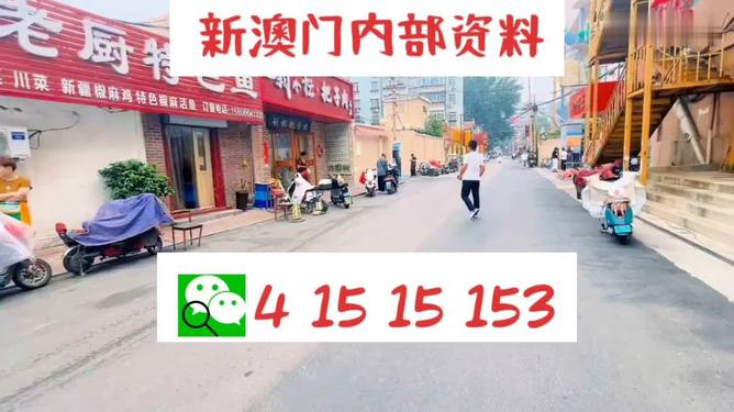 新2025年澳門天天開好彩，探索彩票的魅力與策略，探索彩票魅力與策略，澳門天天開好彩的新篇章（2025年）