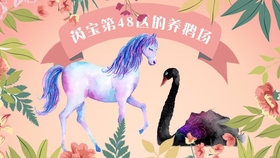 猜劉伯溫是一肖一動(dòng)物，揭秘背后的神秘傳說(shuō)與SEO奧秘，揭秘劉伯溫生肖之謎，神秘傳說(shuō)與SEO奧秘探尋