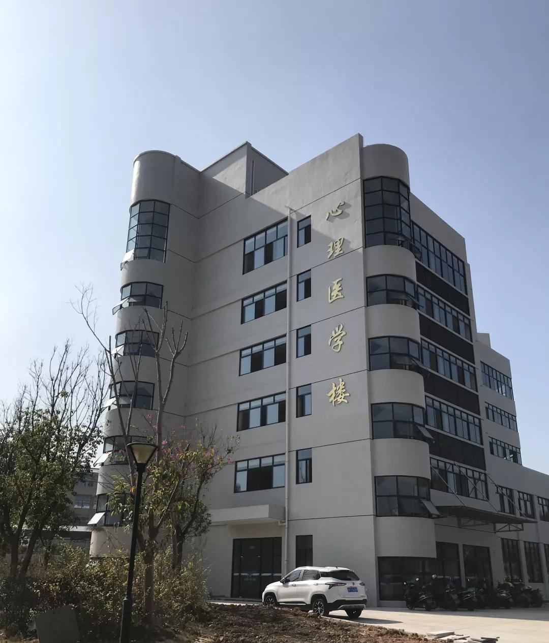 精神科，探索心理健康的奧秘，精神科，探索心理健康奧秘之旅