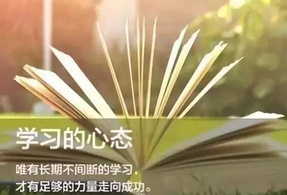 一肖最準(zhǔn)期期中特大全，揭秘生肖預(yù)測(cè)真相與技巧，揭秘生肖預(yù)測(cè)真相與技巧，一肖最準(zhǔn)期期中特詳解