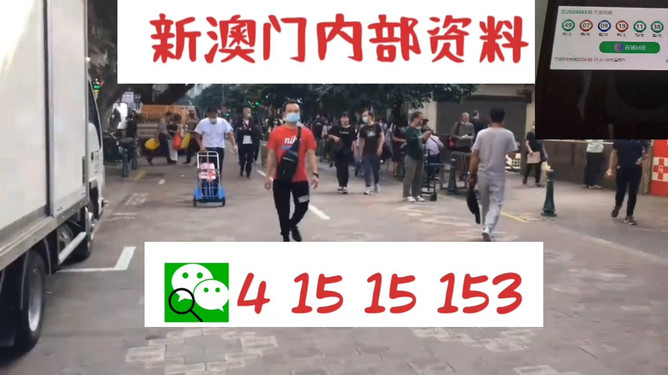 澳門管家婆100中，探索其神秘面紗與實用指南，澳門管家婆100，揭開神秘面紗與實用指南探索