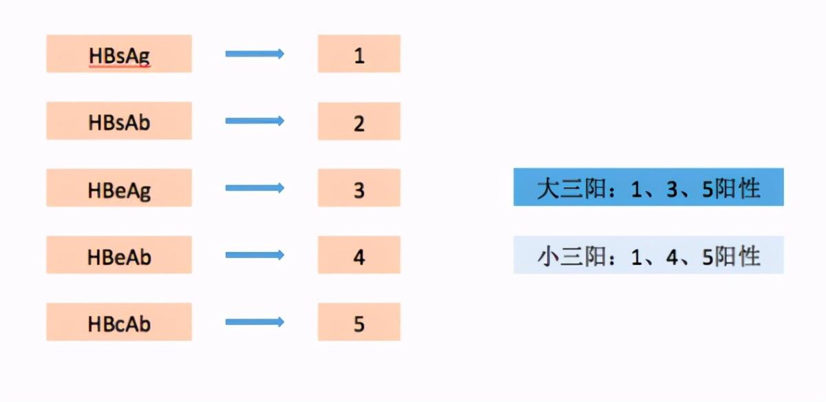 陽(yáng)性五天后仍具有傳染性嗎？——探究新冠病毒的傳染性及防控策略，新冠病毒陽(yáng)性五天后傳染性及防控策略探究