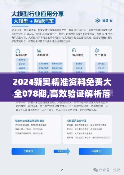 2025新澳正版資料精準(zhǔn)解析，2025新澳正版資料精準(zhǔn)解析手冊