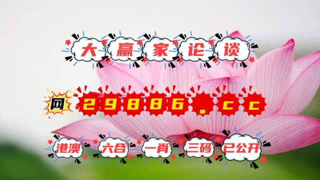 王中王資料提供一肖中特，深度解析與探索，王中王資料揭秘，深度解析與探索一肖中特