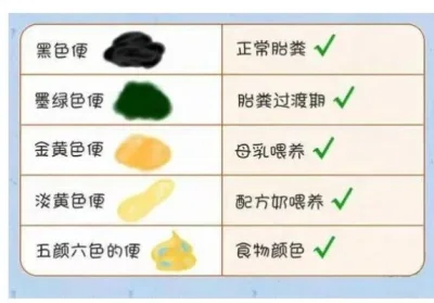 大便顏色健康對(duì)照表，了解你的腸道健康狀況，大便顏色健康對(duì)照表，揭示腸道健康狀況的指南