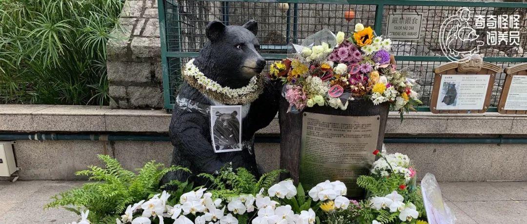 奧門今晚開獎結果及歷史開獎記錄全面解析，澳門今晚開獎結果及歷史記錄全面解析