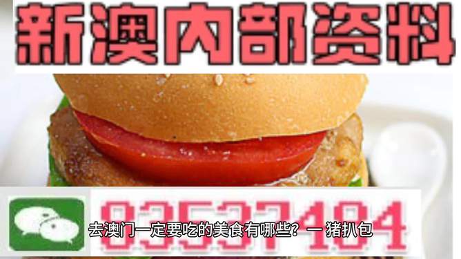新門內部資料精準大全，揭秘成功秘訣，助您一臂之力，新門內部資料揭秘，成功秘訣與助力指南