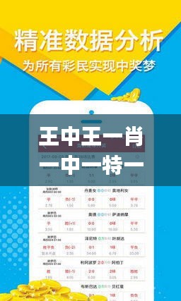王中王的一肖，深度解析與SEO優(yōu)化，王中王的一肖深度解析與SEO優(yōu)化策略探討