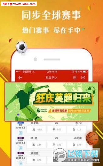 王中王贏錢六肖網(wǎng)站一，探索與SEO優(yōu)化策略，王中王贏錢六肖網(wǎng)站一，深度探索與SEO優(yōu)化策略指南