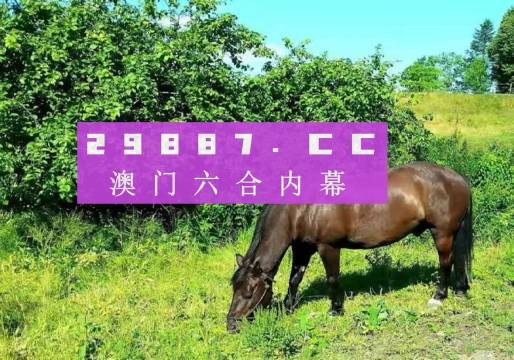 新奧門一肖一碼，揭秘精準(zhǔn)預(yù)測(cè)的秘密，揭秘新澳門一肖一碼精準(zhǔn)預(yù)測(cè)的秘密