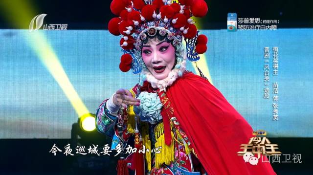 王中王選一肖一馬，揭秘背后的秘密與策略，揭秘王中王選一肖一馬的秘密與策略