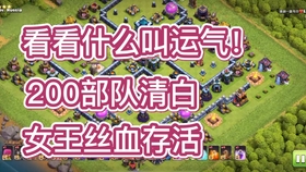 王中王146期指一生肖，深度解析與預(yù)測，王中王146期生肖深度解析與預(yù)測，揭秘生肖運勢走向