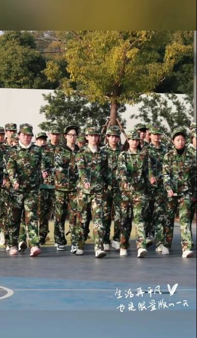 最新軍事播報(bào)，全球軍事動(dòng)態(tài)深度解析，全球軍事動(dòng)態(tài)深度解析與最新播報(bào)