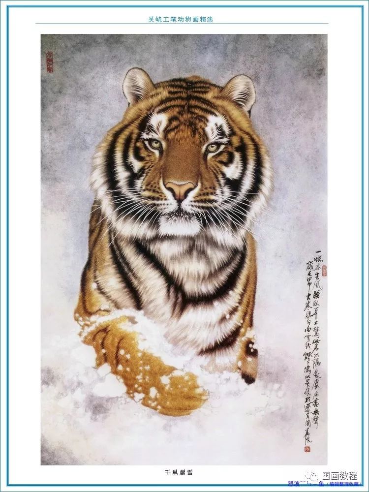 揭秘生肖奧秘，揭秘王中王之十二生肖動(dòng)物圖——以20一肖動(dòng)物圖王中王為中心的探索，揭秘生肖奧秘，探索十二生肖動(dòng)物圖之王中王——以生肖圖王為中心的探索