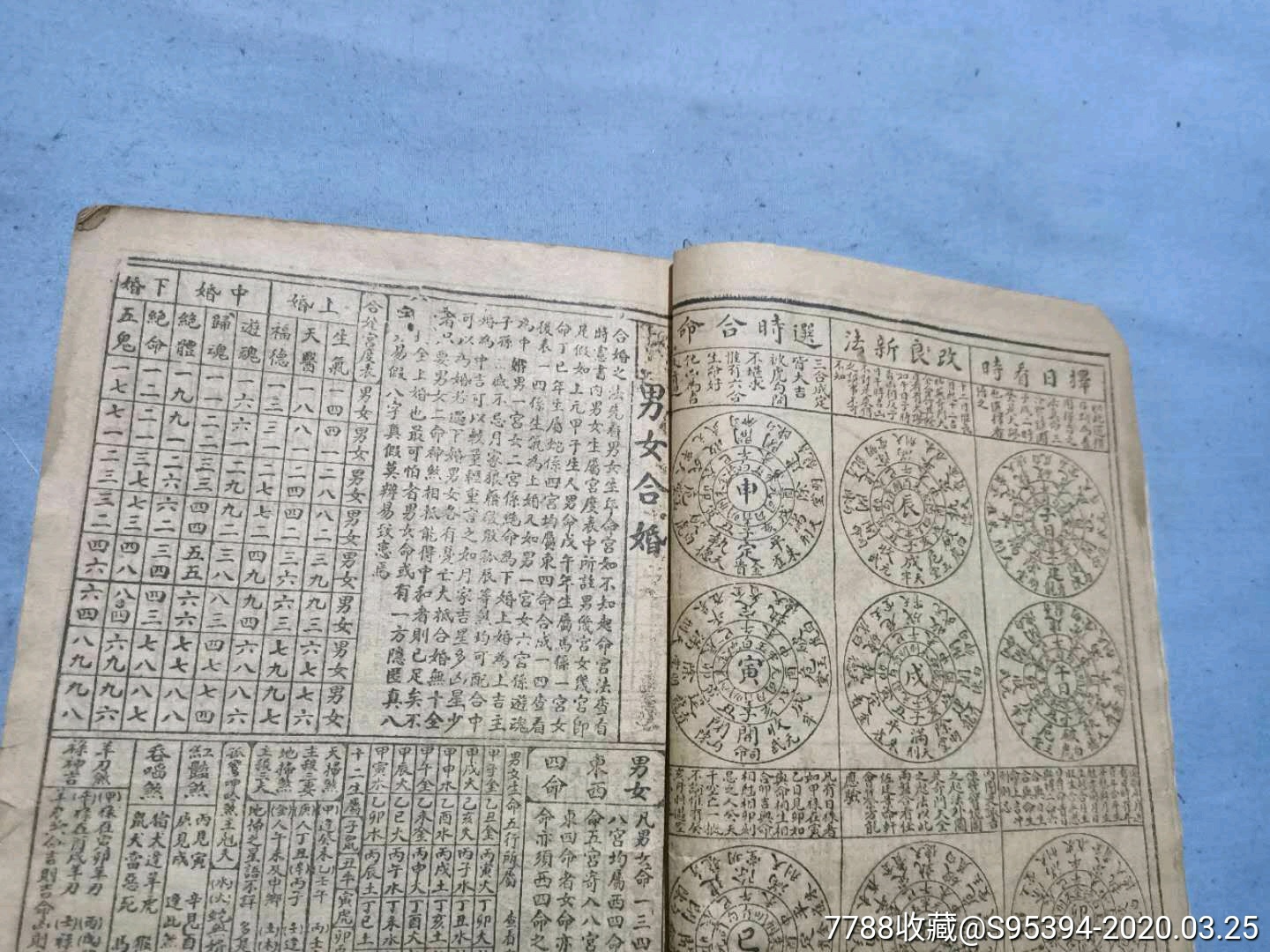 王中王周天師解平特一肖，揭秘生肖運(yùn)勢(shì)與命理奧秘，揭秘生肖運(yùn)勢(shì)與命理奧秘，王中王周天師解讀平特一肖運(yùn)勢(shì)分析