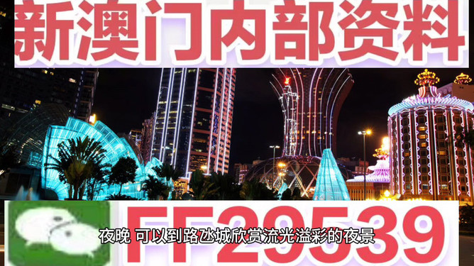 新澳門今晚特馬開號碼——探索與預(yù)測，澳門今晚特馬號碼探索及預(yù)測