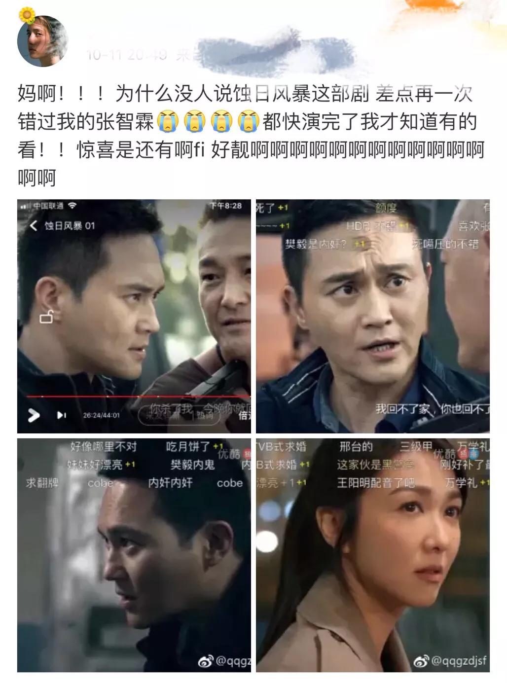 蝕日風(fēng)暴中的張智霖，演技卓越的實(shí)力派演員之路，蝕日風(fēng)暴中的張智霖，演技卓越的實(shí)力派演員之路揭秘