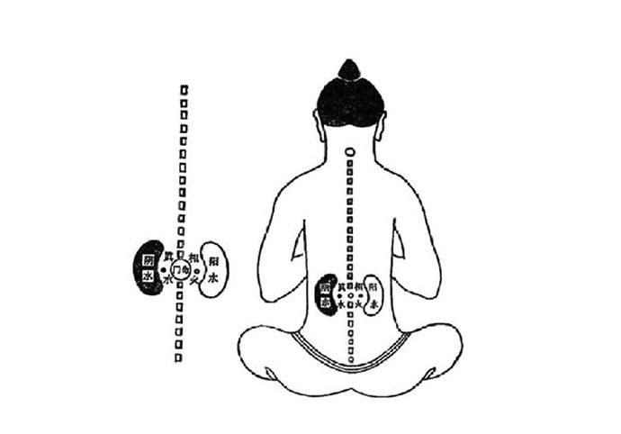 補(bǔ)腎壯陽(yáng)