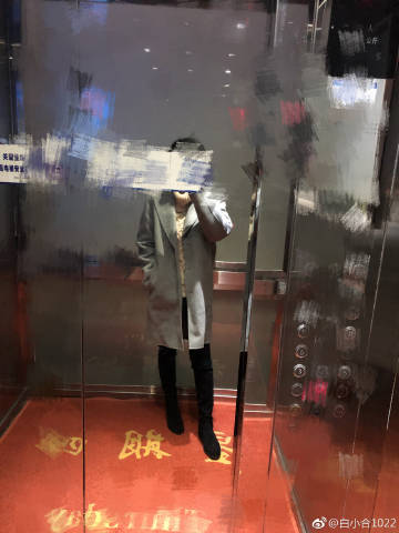 白小爼與肖一碼王中王，揭秘二者的獨(dú)特魅力，白小爻與肖一碼王中王，獨(dú)特魅力的揭秘