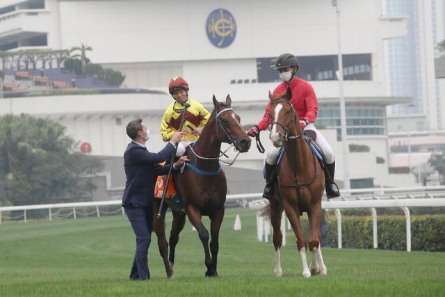 香港開奘結(jié)果面面觀，歷史、文化與社會影響深度解析，香港開奘結(jié)果面面觀，歷史、文化與社會影響的深度探究
