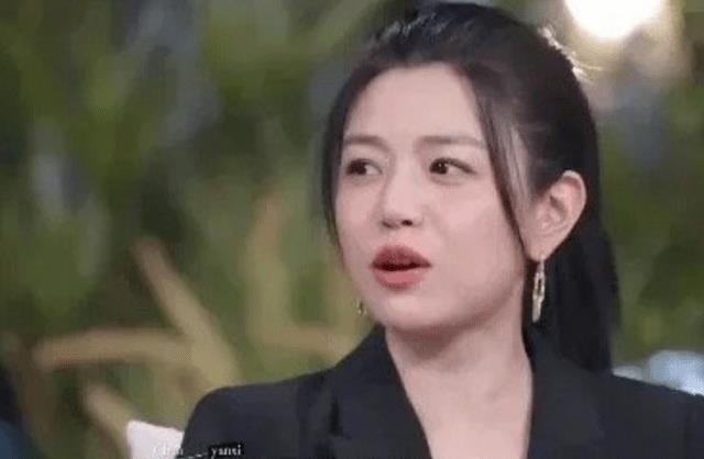 陳曉的個(gè)人資料，深度探索中國(guó)影視界的璀璨明星，陳曉個(gè)人簡(jiǎn)介，中國(guó)影視界璀璨明星的崛起之路