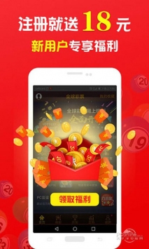 仍是王中王，揭秘神秘生肖的魅力，揭秘生肖魅力，王中王的神秘面紗