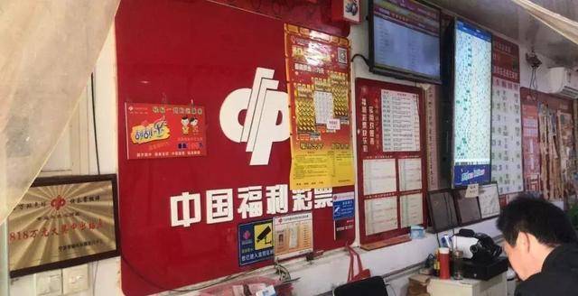 王中王資枓一肖中特，深度解析與SEO優(yōu)化策略，王中王資枓一肖中特深度解析與SEO優(yōu)化策略探討