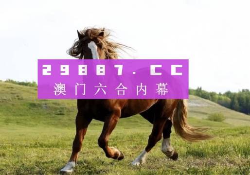 新澳門六開獎(jiǎng)結(jié)果及開獎(jiǎng)記錄高速查詢指南，澳門六開獎(jiǎng)結(jié)果及記錄高速查詢指南