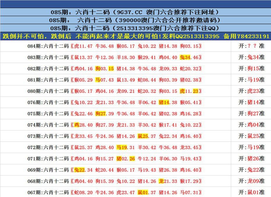 澳門(mén)精準(zhǔn)四肖八碼的特點(diǎn)，揭秘其獨(dú)特魅力與優(yōu)勢(shì)，澳門(mén)精準(zhǔn)四肖八碼特點(diǎn)揭秘，獨(dú)特魅力與優(yōu)勢(shì)一覽