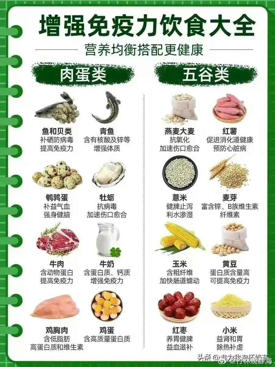 揭秘十大提高免疫力的食物排行榜，揭秘，十大提高免疫力食物排行榜全解析