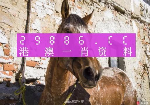 王中王資料一門肖中，深度解析與探索，王中王資料一門肖詳解，深度解析與探索