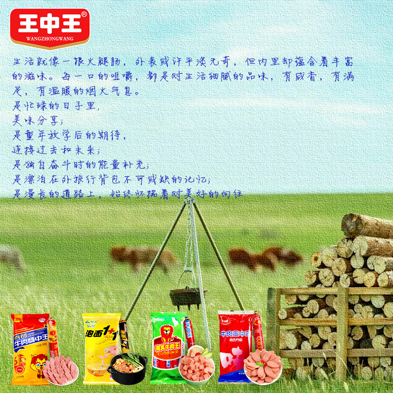 王中王資料一肖中，深度解析與探索，王中王資料一肖中深度解析與探索揭秘