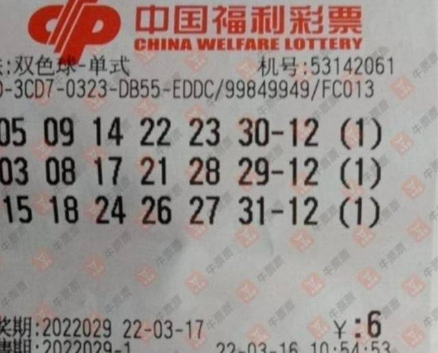 揭秘029期王中王平特一肖，背后的故事與秘密，揭秘，王中王平特一肖背后的故事與秘密（第029期）
