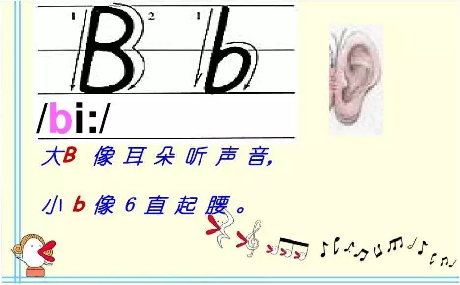 B大與小的好處，探索不同尺寸的奧秘，不同尺寸的奧秘，B大與小的優(yōu)勢(shì)探索