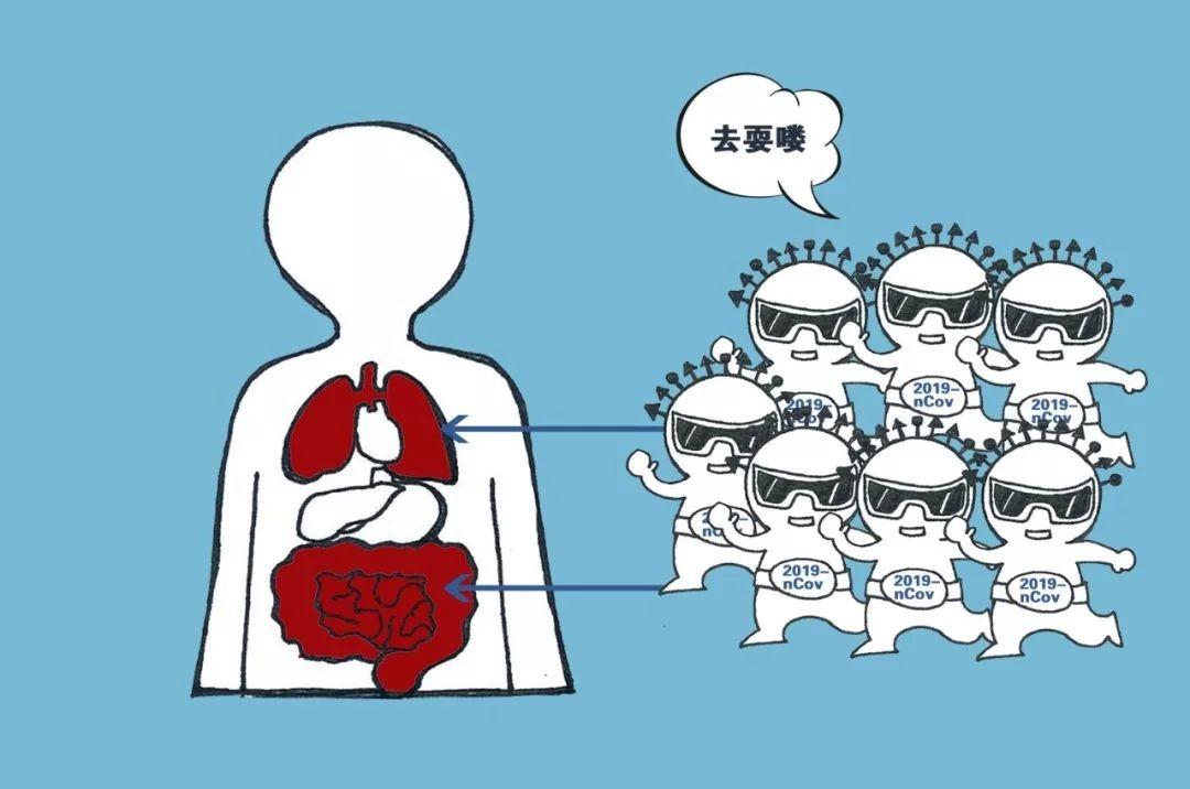 二次感染的癥狀解析，二次感染癥狀深度解析