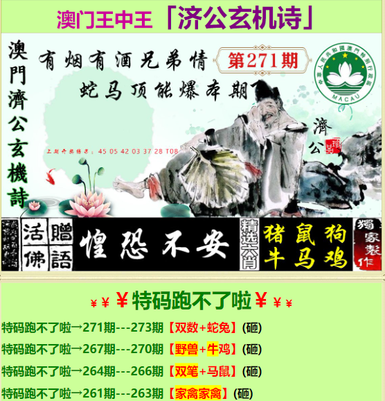王中王一字拆一肖一湖，探尋背后的神秘與奧妙，王中王一字拆解揭秘，背后的神秘與奧妙探索之旅