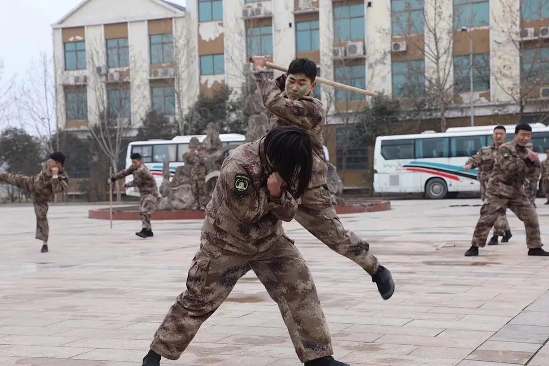 全球軍事排名前十的國家2021年概覽，全球軍事排名前十國家概覽，2021年最新概覽