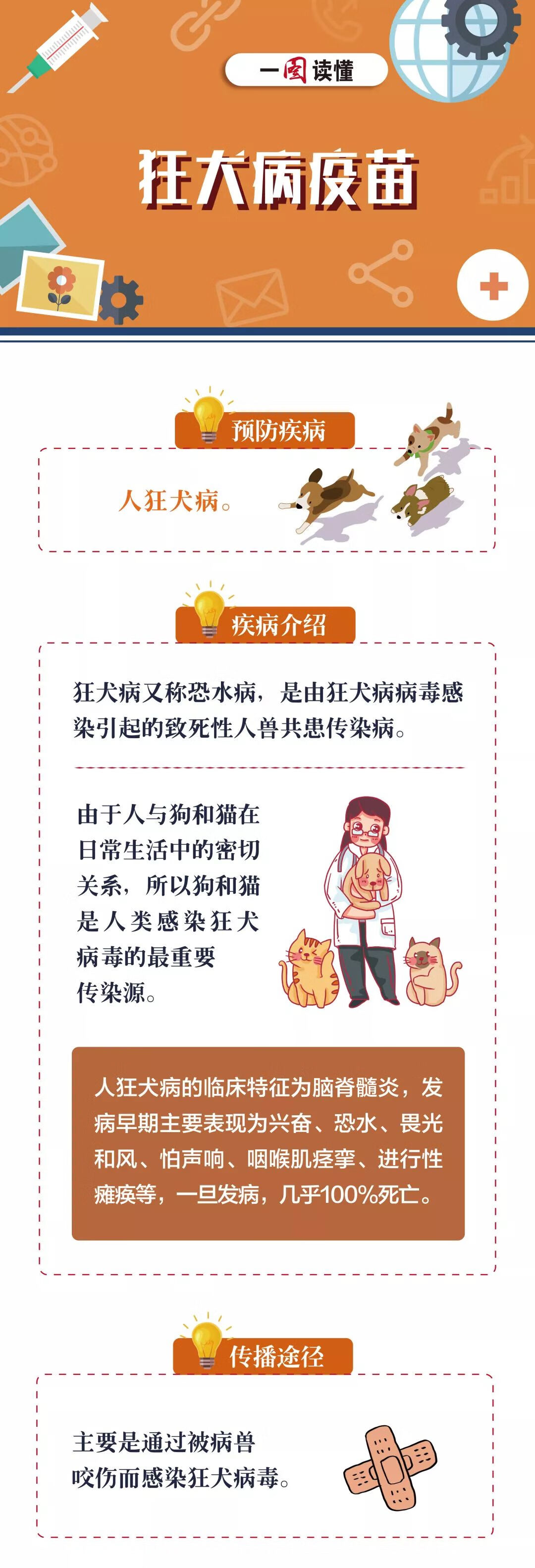 了解這些情況，你或許不需要接種狂犬疫苗，了解這些情況，或許無需接種狂犬疫苗