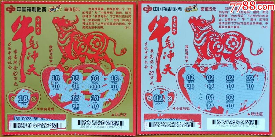 王中王55期期指一生肖——揭秘生肖運(yùn)勢(shì)與人生軌跡，揭秘生肖運(yùn)勢(shì)與人生軌跡，王中王55期期指一生肖探討