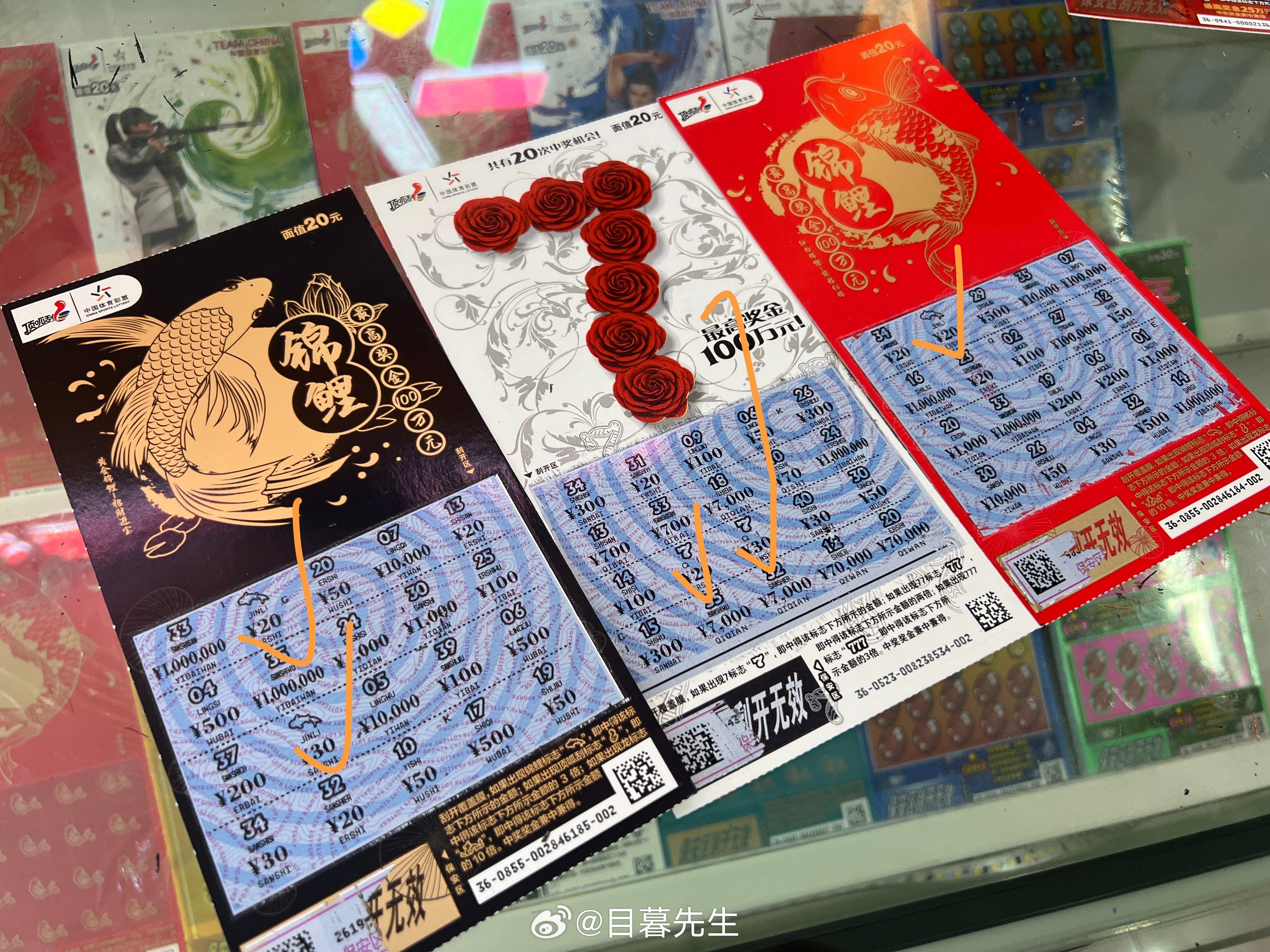 全年王中王一肖中特，揭秘背后的秘密與策略，揭秘全年王中王一肖中特背后的秘密與策略
