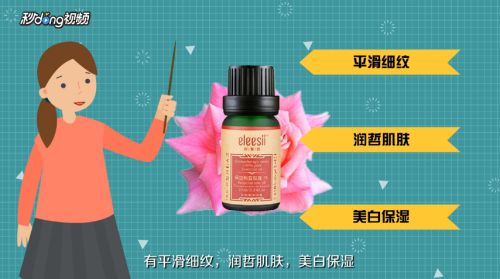 深入解析與探討