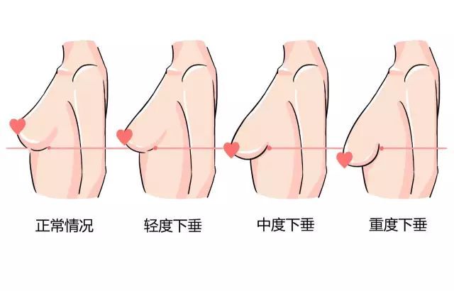 新聞咨詢 第5頁