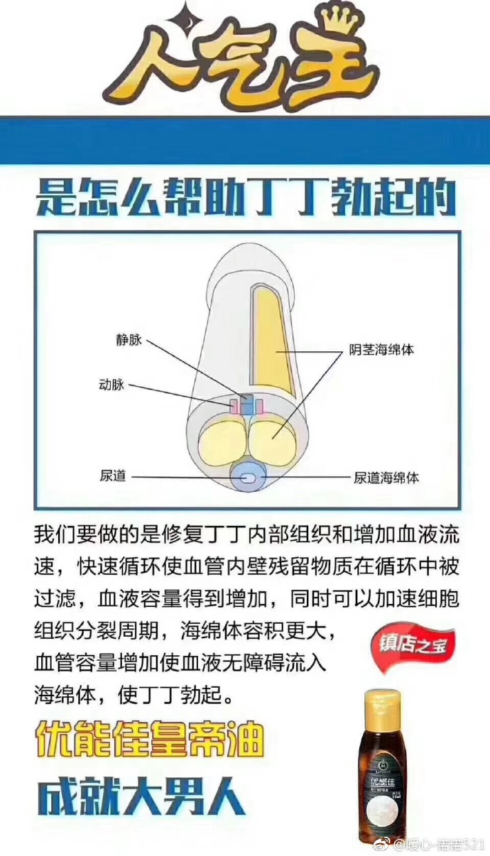 海綿體三十天訓(xùn)練法，全面提升你的能力與表現(xiàn)，海綿體三十天強(qiáng)化訓(xùn)練法，全面提升能力與表現(xiàn)