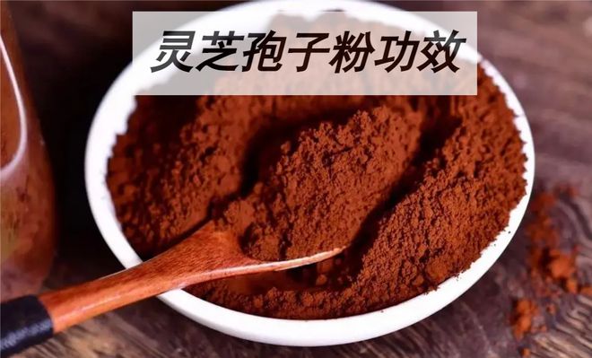 新聞咨詢 第31頁(yè)
