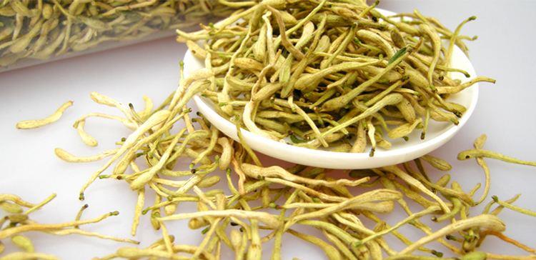 金銀花的功效，自然草本的力量與健康的守護(hù)神，金銀花的自然草本力量，健康守護(hù)神與功效解析