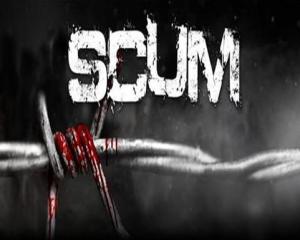 關(guān)于SCUM，深入了解與SEO優(yōu)化策略，SCUM深度解析與SEO優(yōu)化策略探討