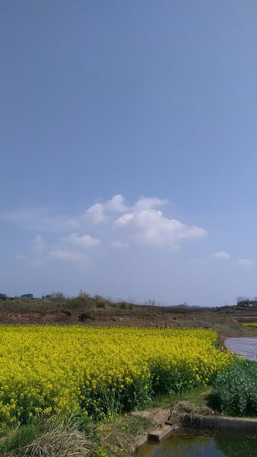 更新通知