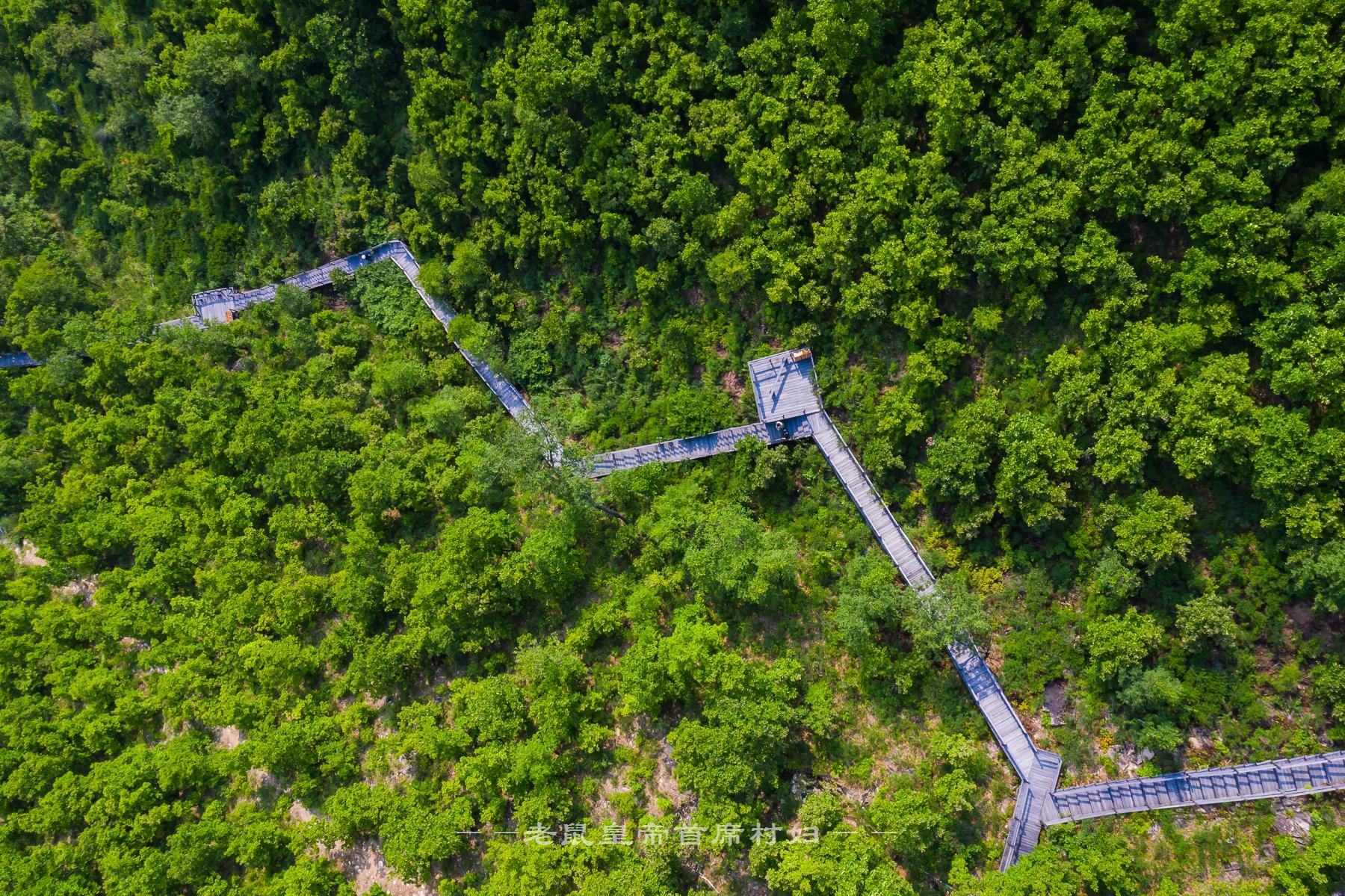 鄂倫春自治旗住房和城鄉(xiāng)建設(shè)局最新領(lǐng)導(dǎo)團(tuán)隊(duì)介紹，鄂倫春自治旗住房和城鄉(xiāng)建設(shè)局領(lǐng)導(dǎo)團(tuán)隊(duì)介紹