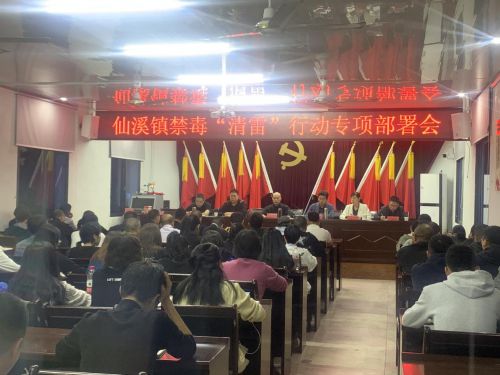 雷高鎮(zhèn)最新領(lǐng)導(dǎo)團(tuán)隊(duì)概況及展望，雷高鎮(zhèn)領(lǐng)導(dǎo)團(tuán)隊(duì)全新概況與未來展望